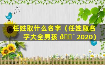 任姓取什么名字（任姓取名字大全男孩 🐴 2020）